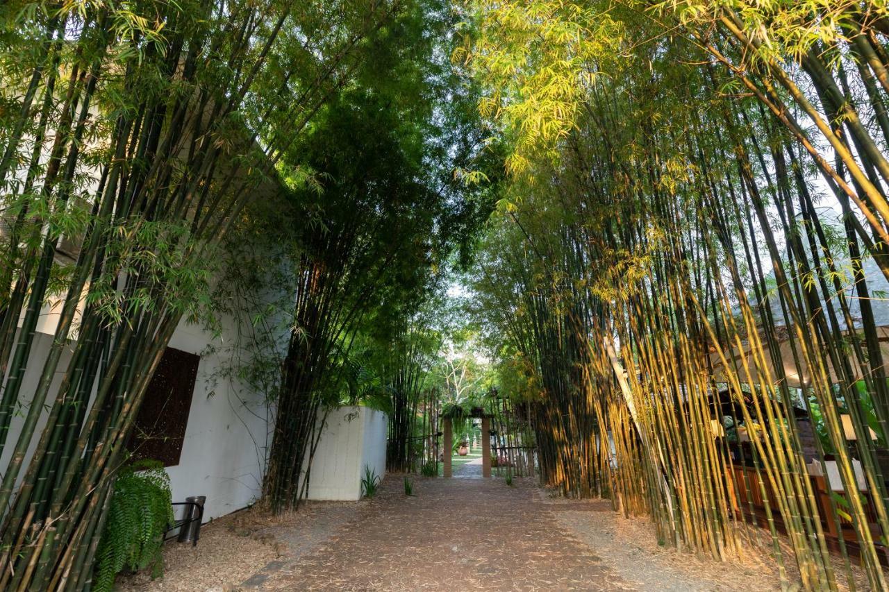 Mango T. Villa Chiangmai Resort Chiang Mai Buitenkant foto